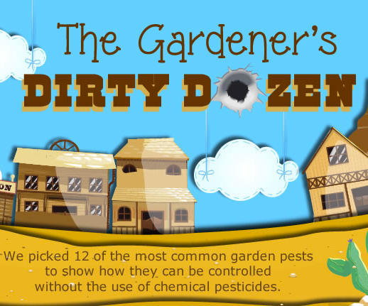 How to Deal Organically With 12 Common Garden Pests Without Chemical Pesticides