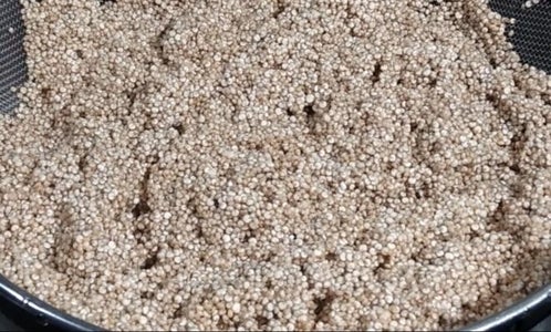 Rinse Quinoa