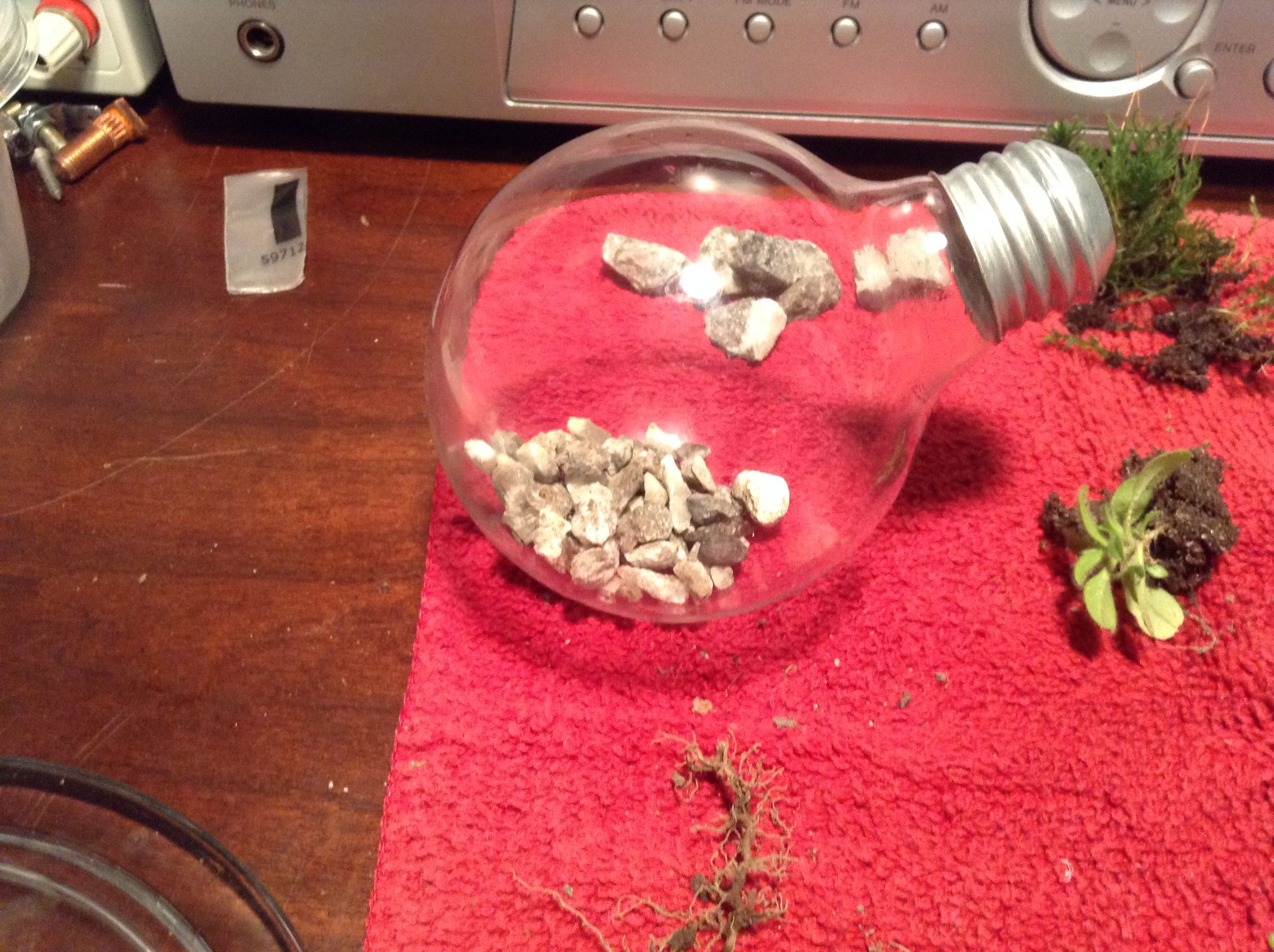 How to Make a Light Bulb Terrarium 6 Steps (with Pictures