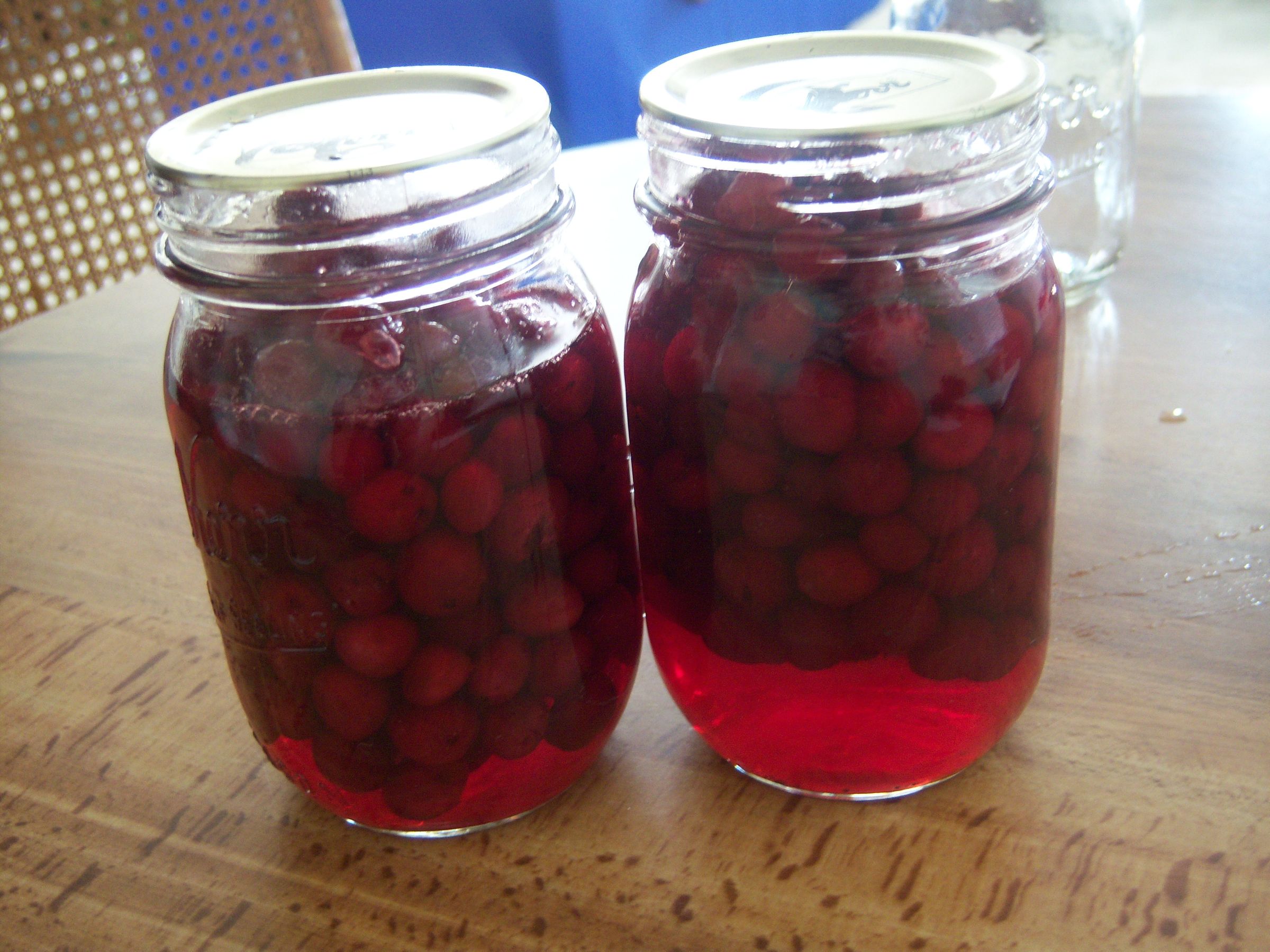 Fizzy Cranberries