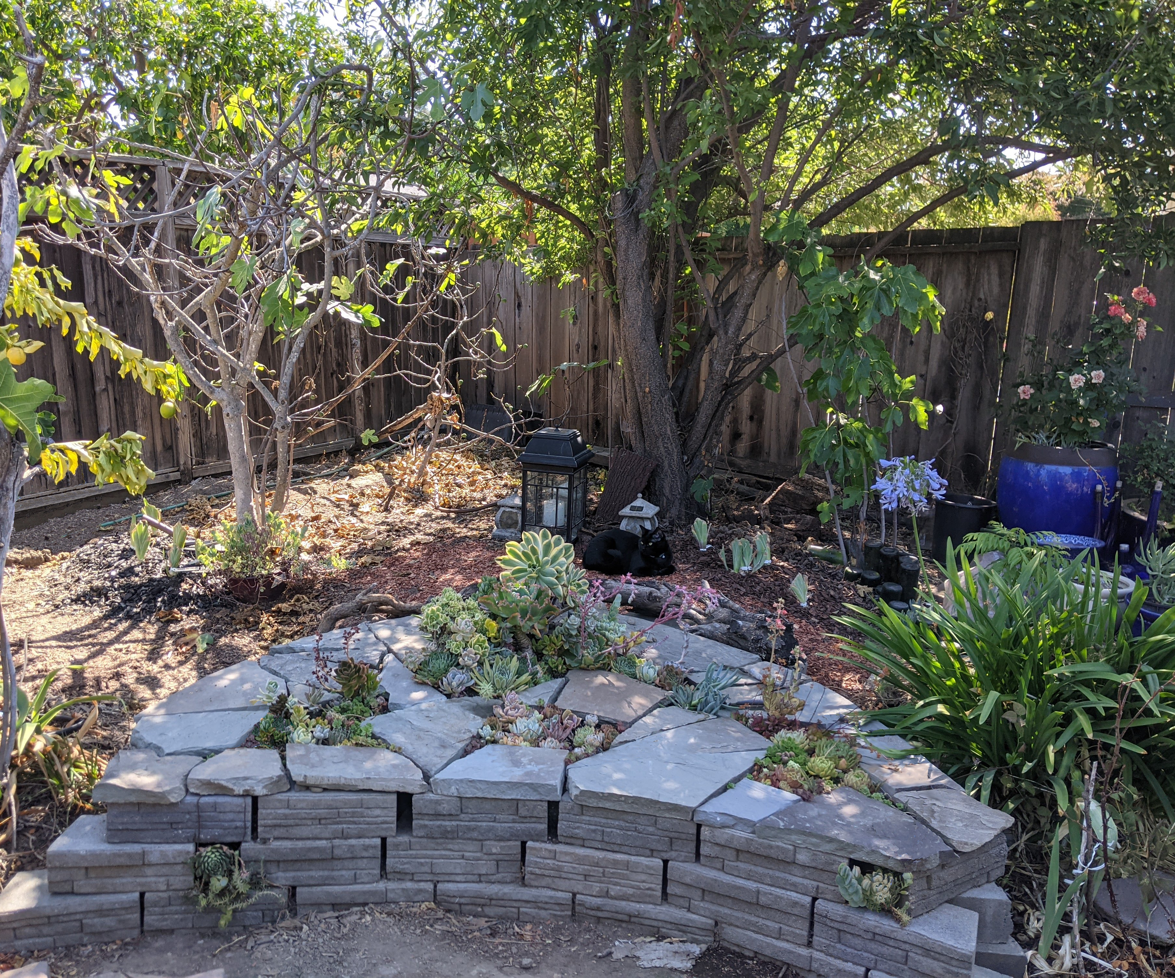 Succulent Bed With Seating