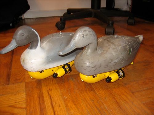 R/C Paradox - a pair of radio controlled duck decoys