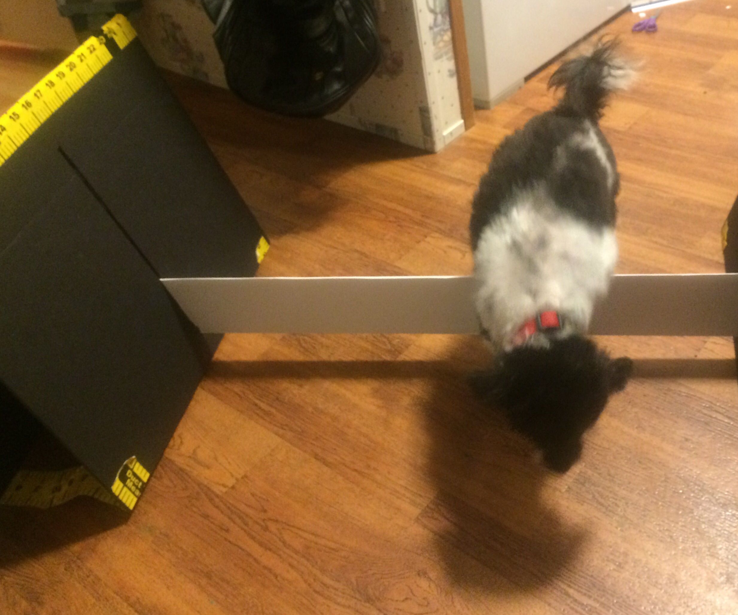 How to make a dog agility / trick hurdle 90% cheaper, than purchasing it from an online store. 