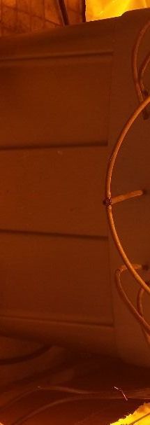 Homemade Hydroponic Bucket System