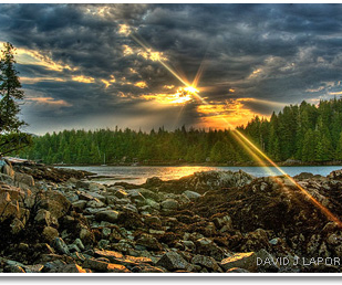 How to Take Mind-blowing Pictures With Just Your IPhone!