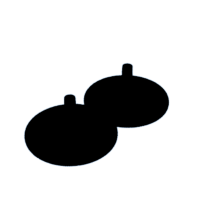 download {{ file.name }}