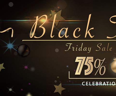 Breaking News! Big Promotion Comes on Black Friday & Thanksgiving Day
