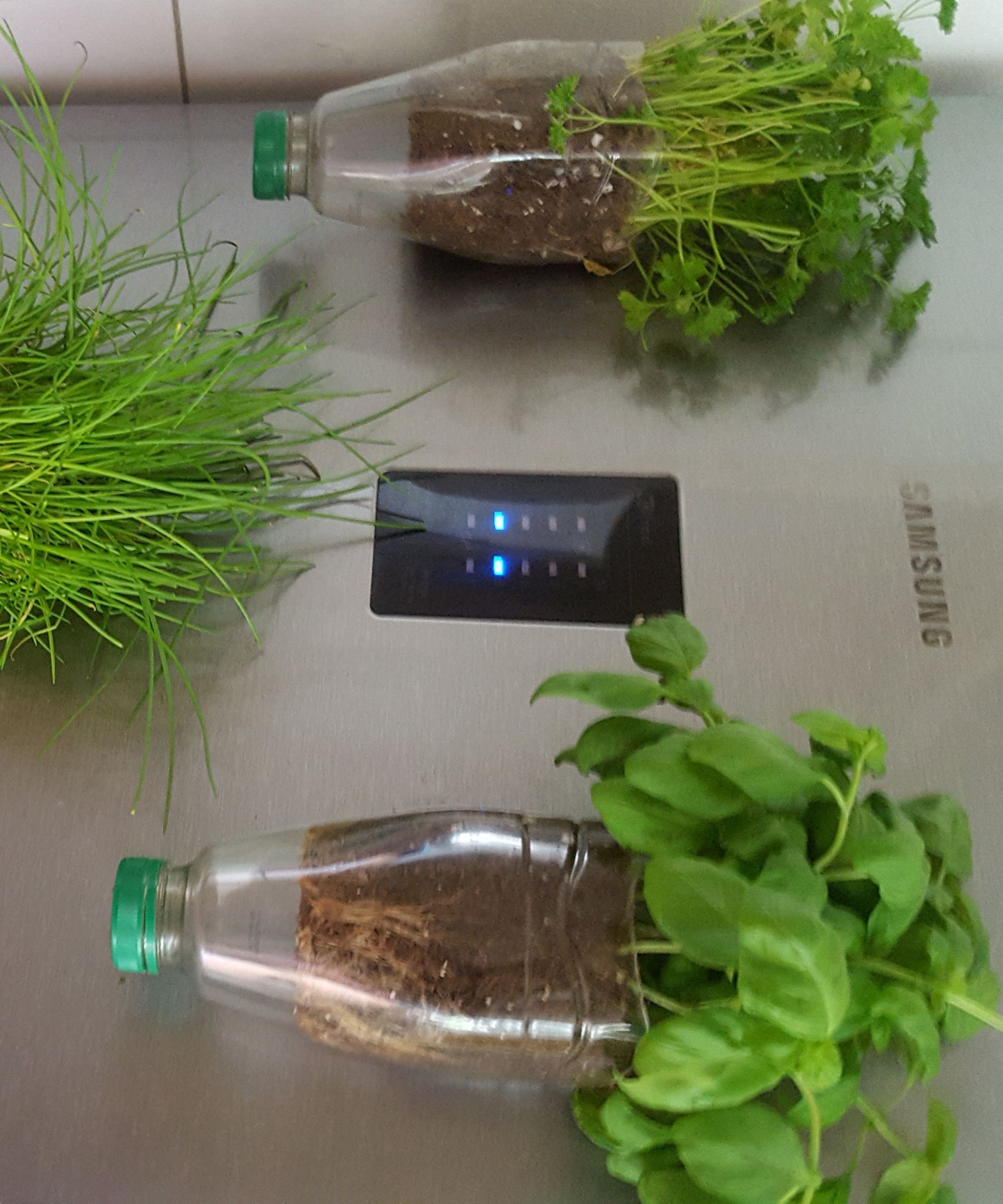 Magnetic fridge herb garden
