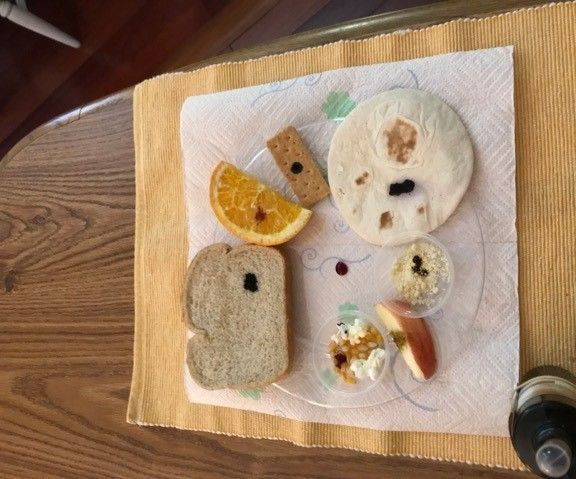 Testing for Starch in Food