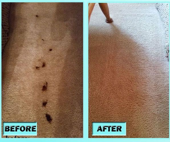 How to Clean Carpet - DIY Carpet Cleaning