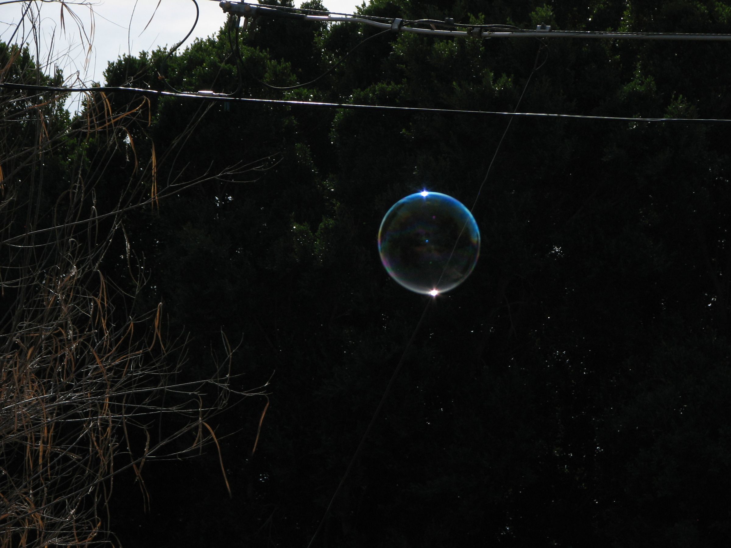 How to Make a Bubble Wand