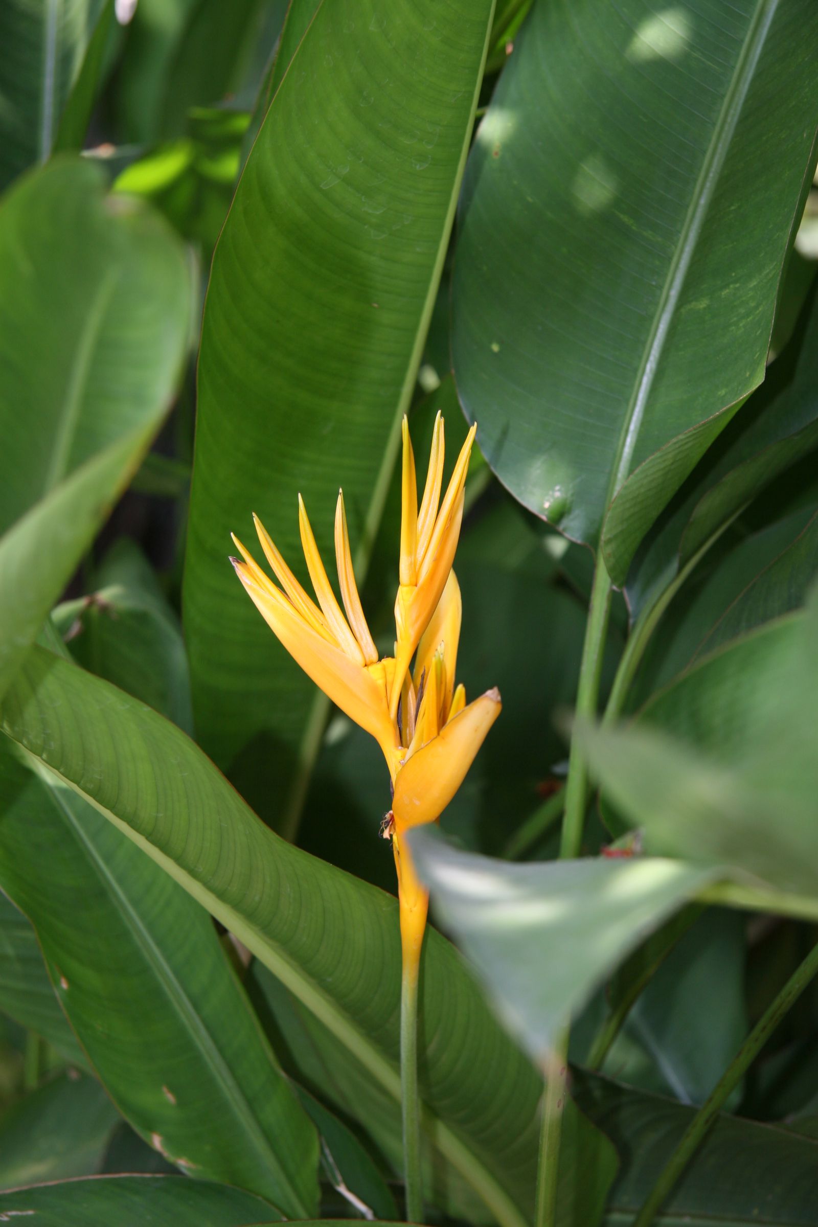 Three Easy Helpful Tips For Taking Photos