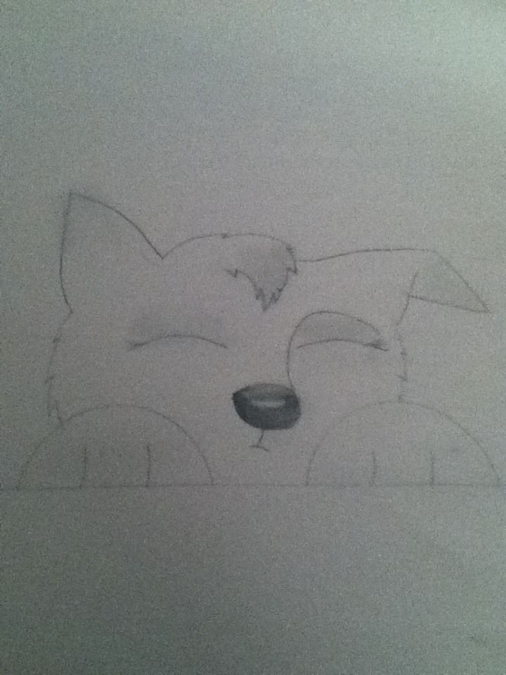 How To Draw A Dog