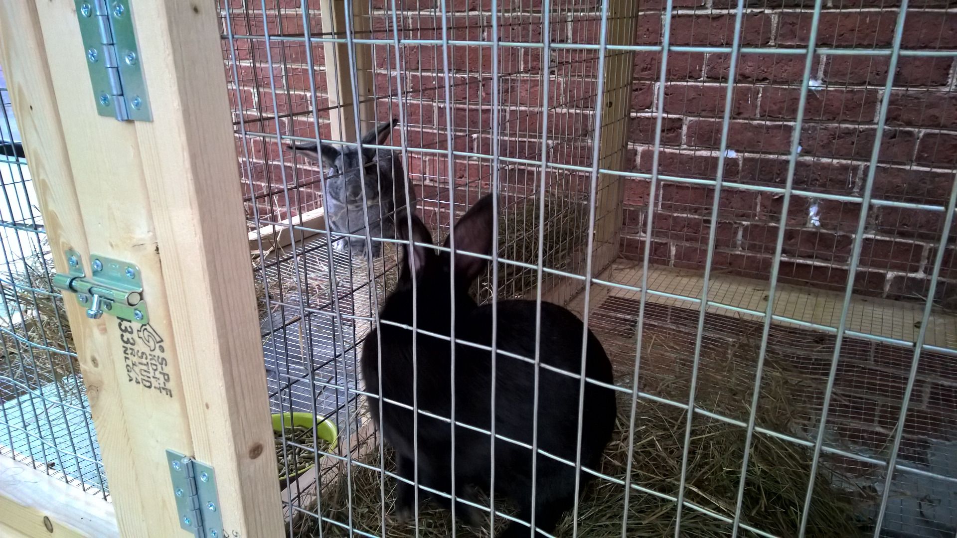 Building a Sectional Rabbit Hutch 12 Steps (with Pictures