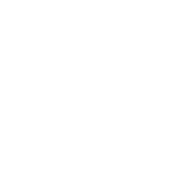download {{ file.name }}