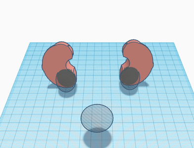 Sculpting the Kidneys