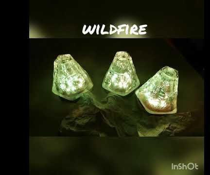 Wildfire
