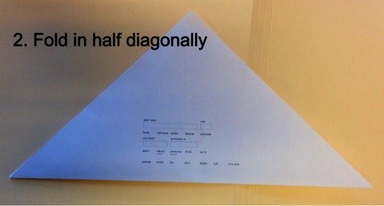 Fold in Half Diagonally