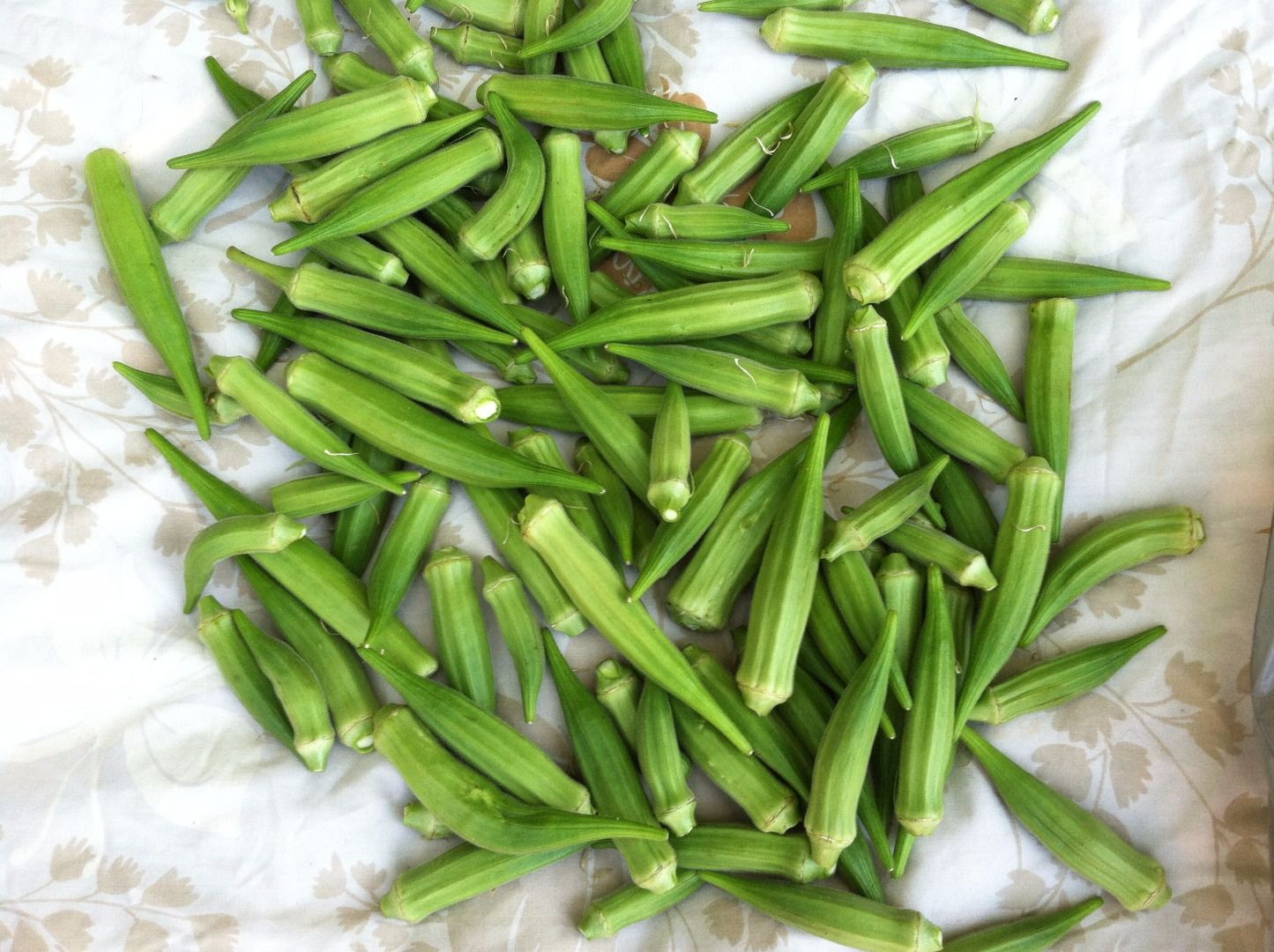 Fried Okra; Picking, Preparing & Freezing 7 Steps (with Pictures