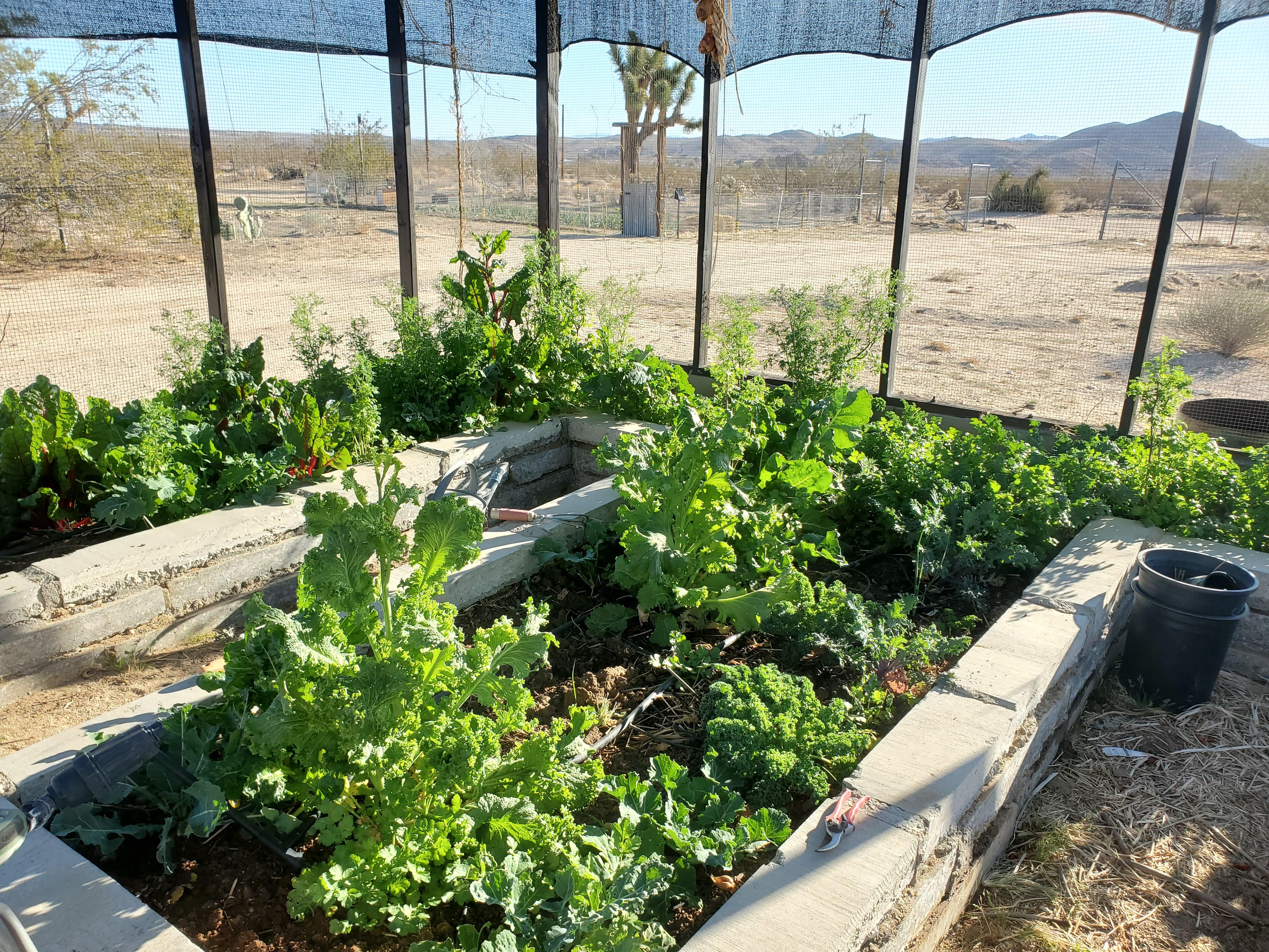 Worm Composting in the Desert 6 Steps Instructables