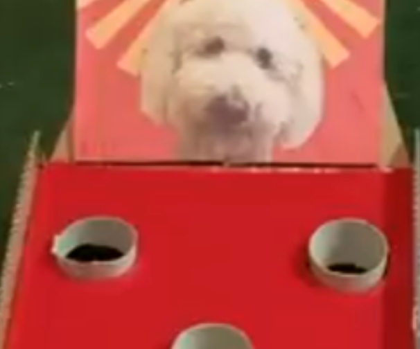 Makey Makey Skee Ball Game