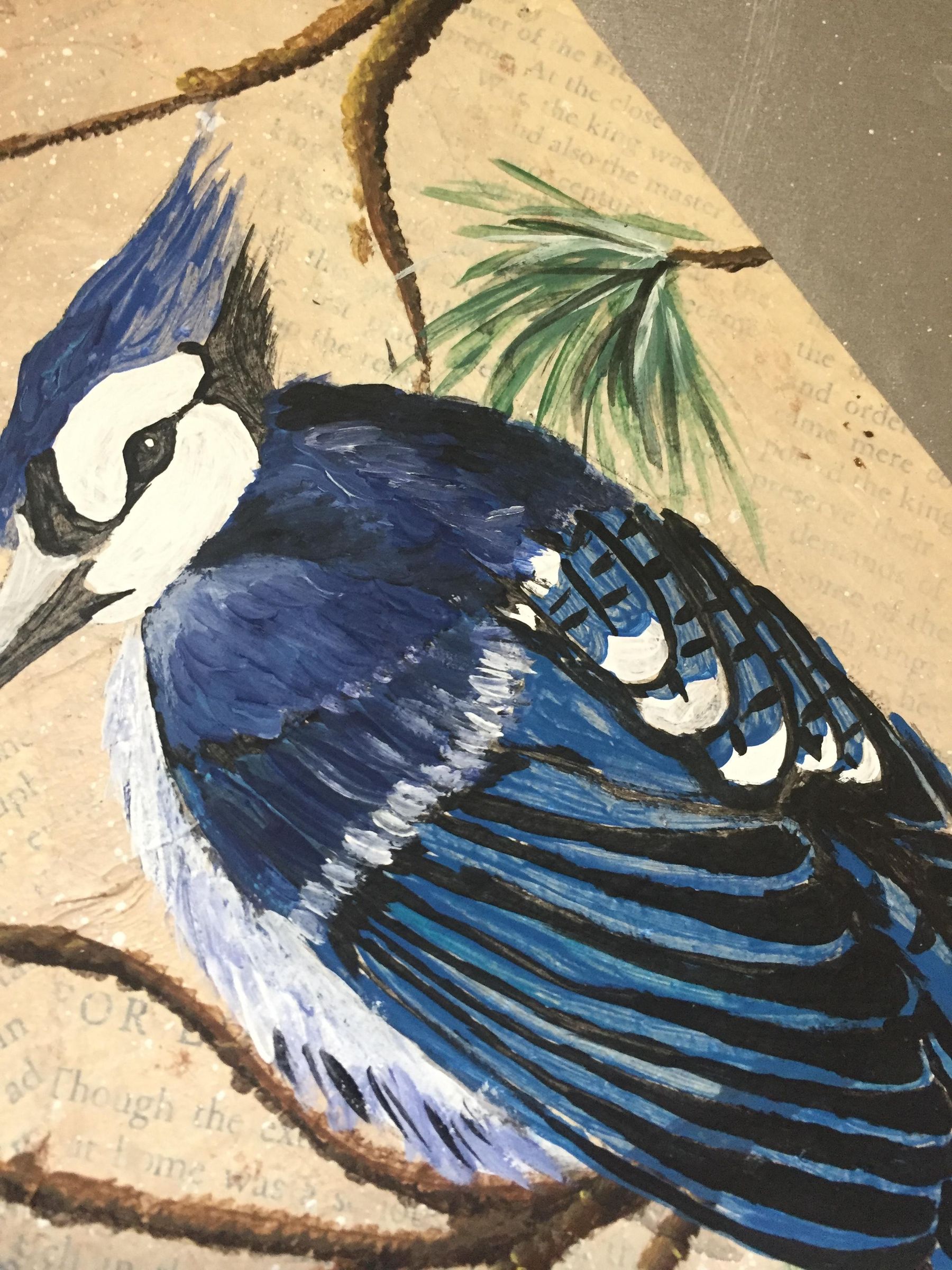 How to Paint a Blue Jay on a Branch. 13 Steps (with Pictures
