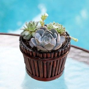 Housewarming Present Distinctive Expression of Love
