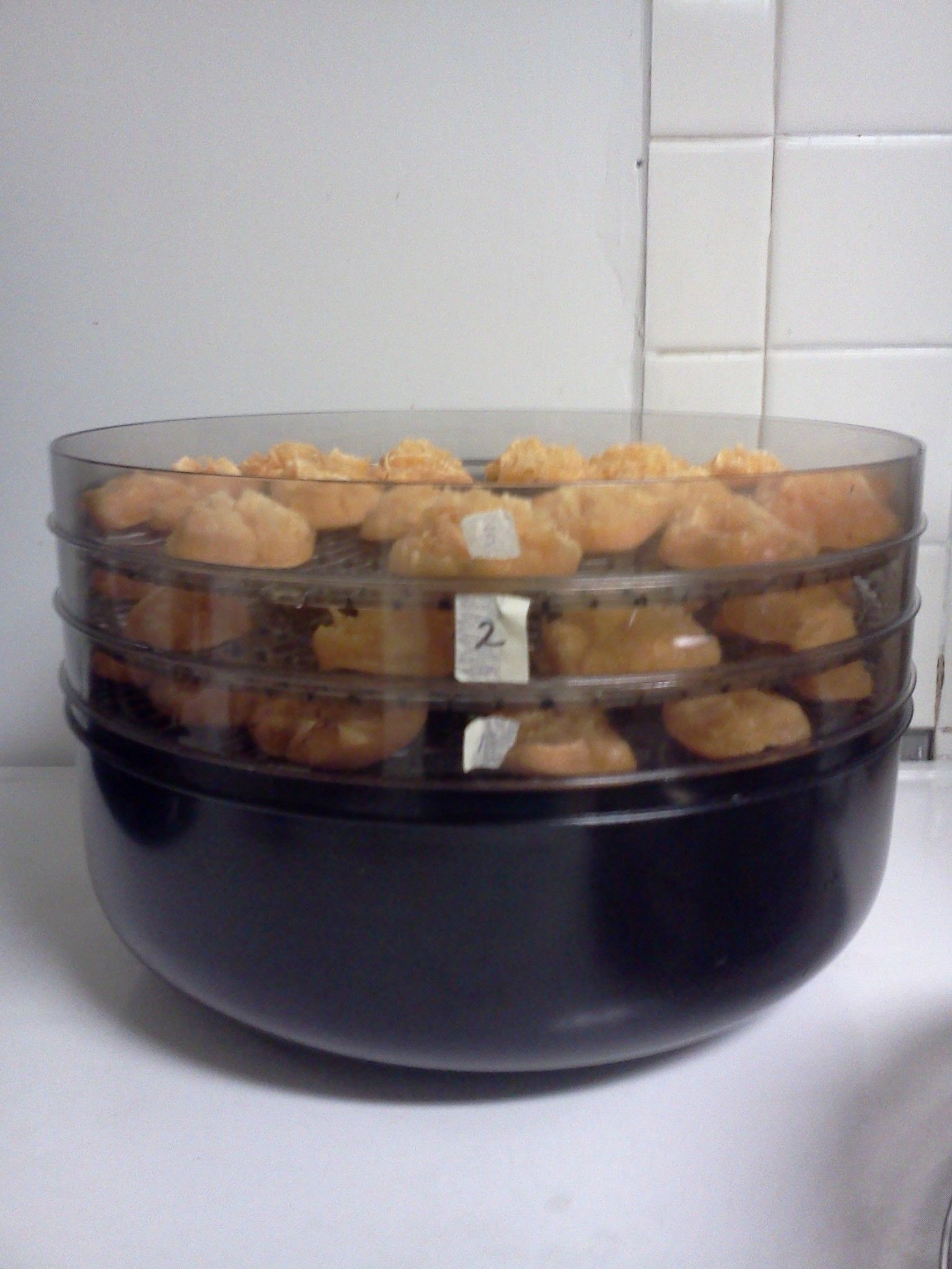 Dehydrating Apricots 4 Steps (with Pictures) Instructables