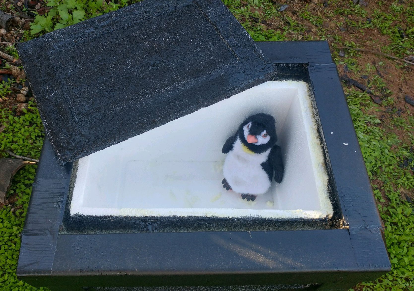 BearProof Ice Chest From Garbage 6 Steps Instructables