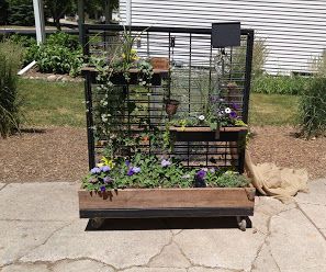 Versatile garden from an old clothing rack