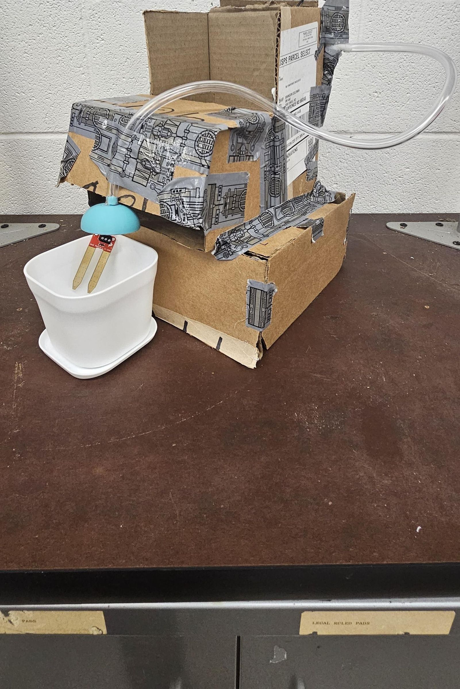 Automatic Plant Watering