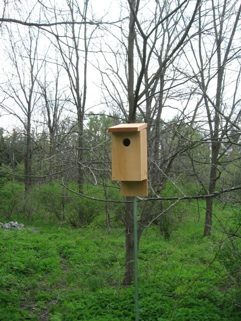 Eastern Bluebird Houses (from hand tools)