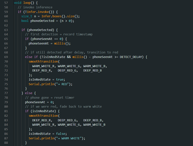 Program the Microcontroller