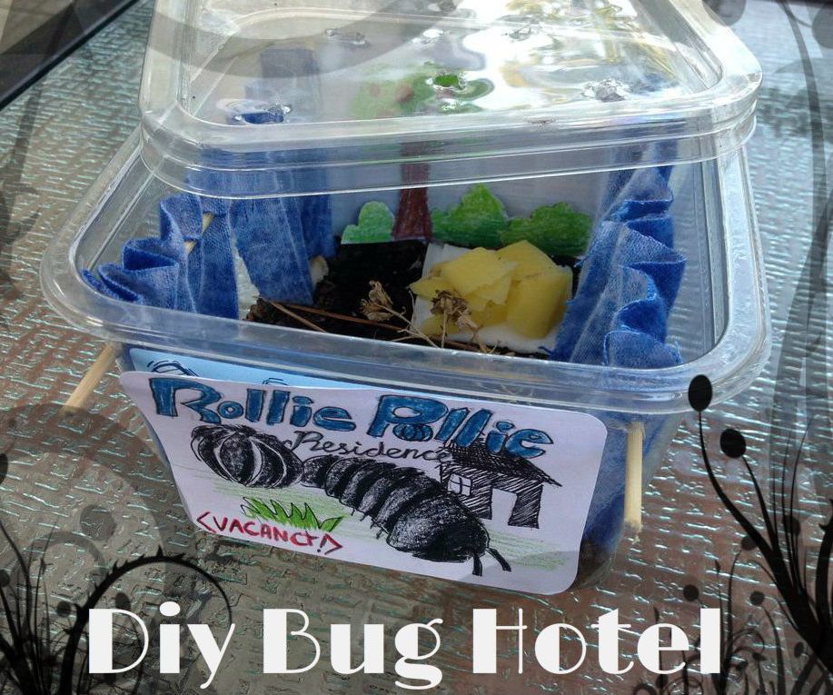 How to Make a Bug Hotel