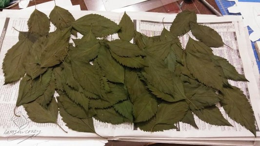 Pick and Preserve the Leaves