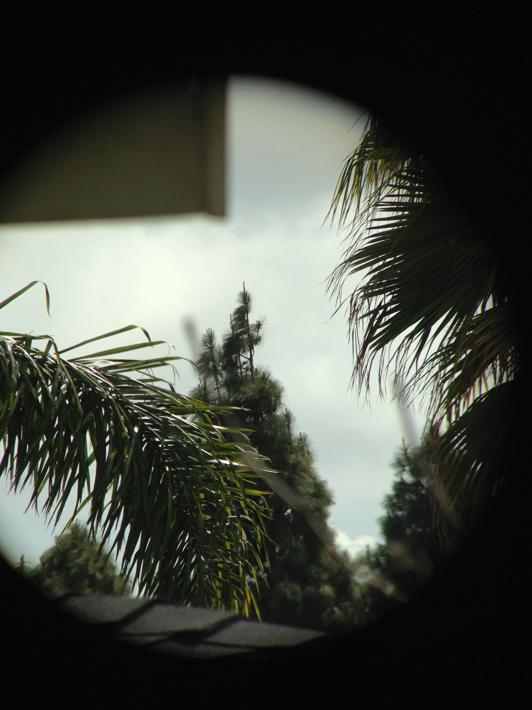 Binocular Mobile Phone Mount. 9 Steps (with Pictures) Instructables