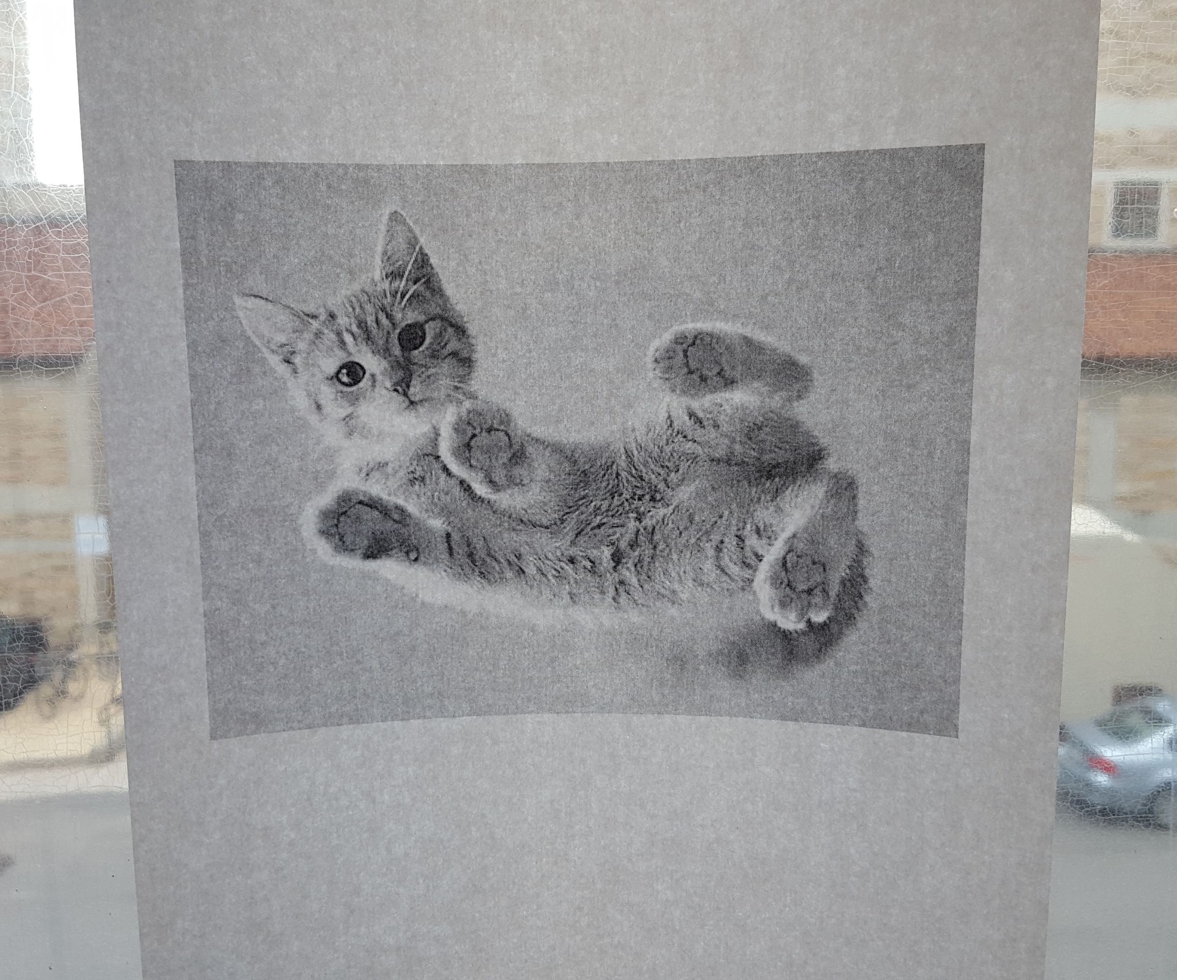 Augment Your Printer - the Print-a-Cat Button