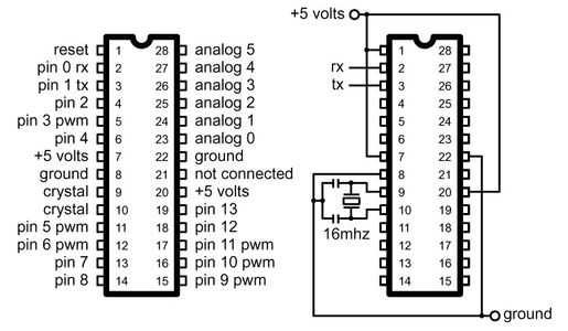Creating the Circuit