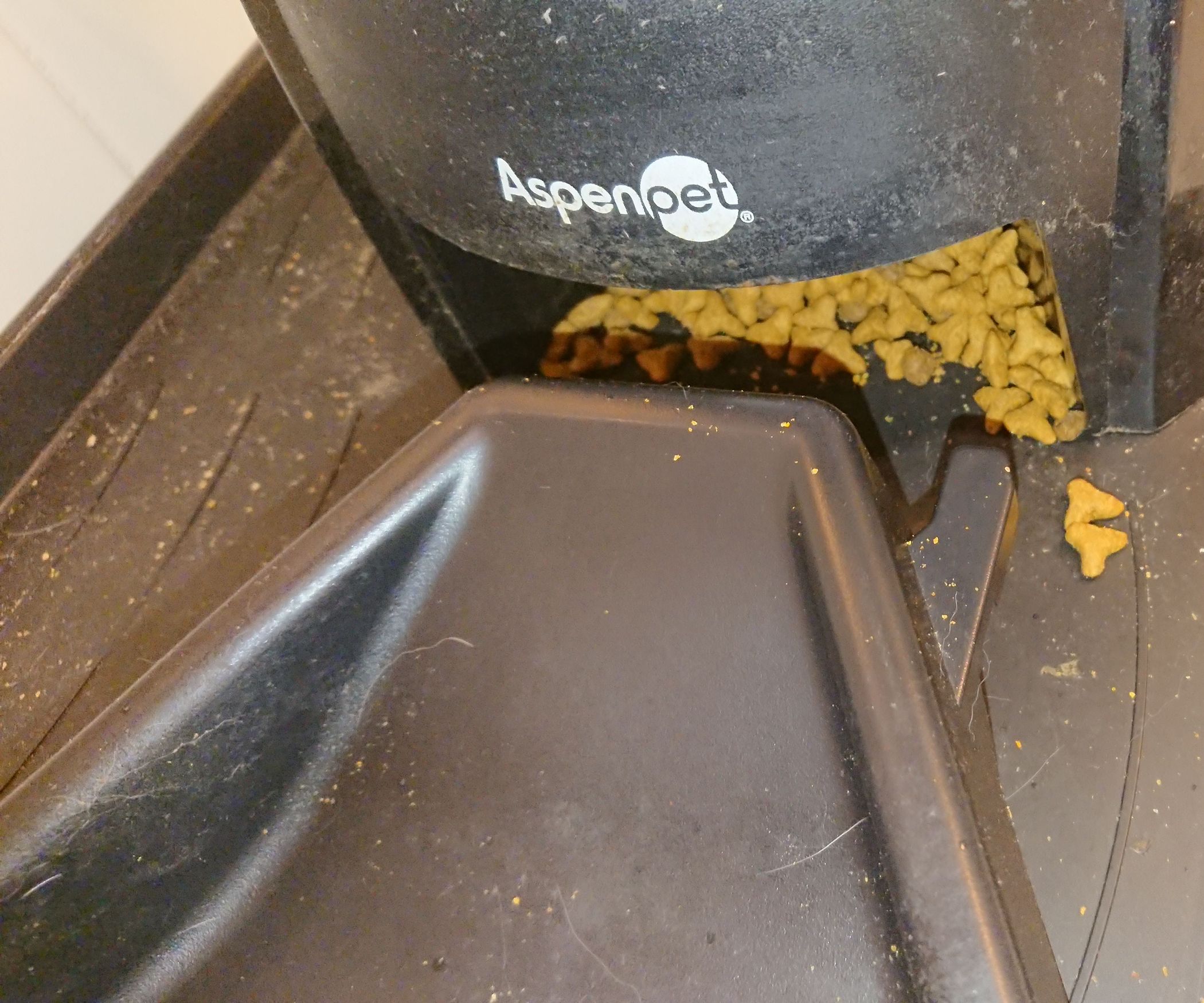 Improve Lebistro Auto Pet Feeder : 5 Steps - Instructables