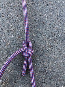 Bowline- Snake Mnemonic