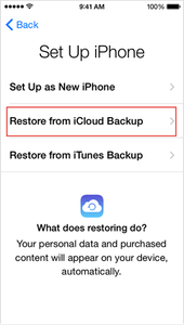 ​Method 2 Get Back SMS Messages From ICloud Backup