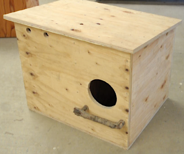 How to Build and Owl Nest Box (VIDEO)