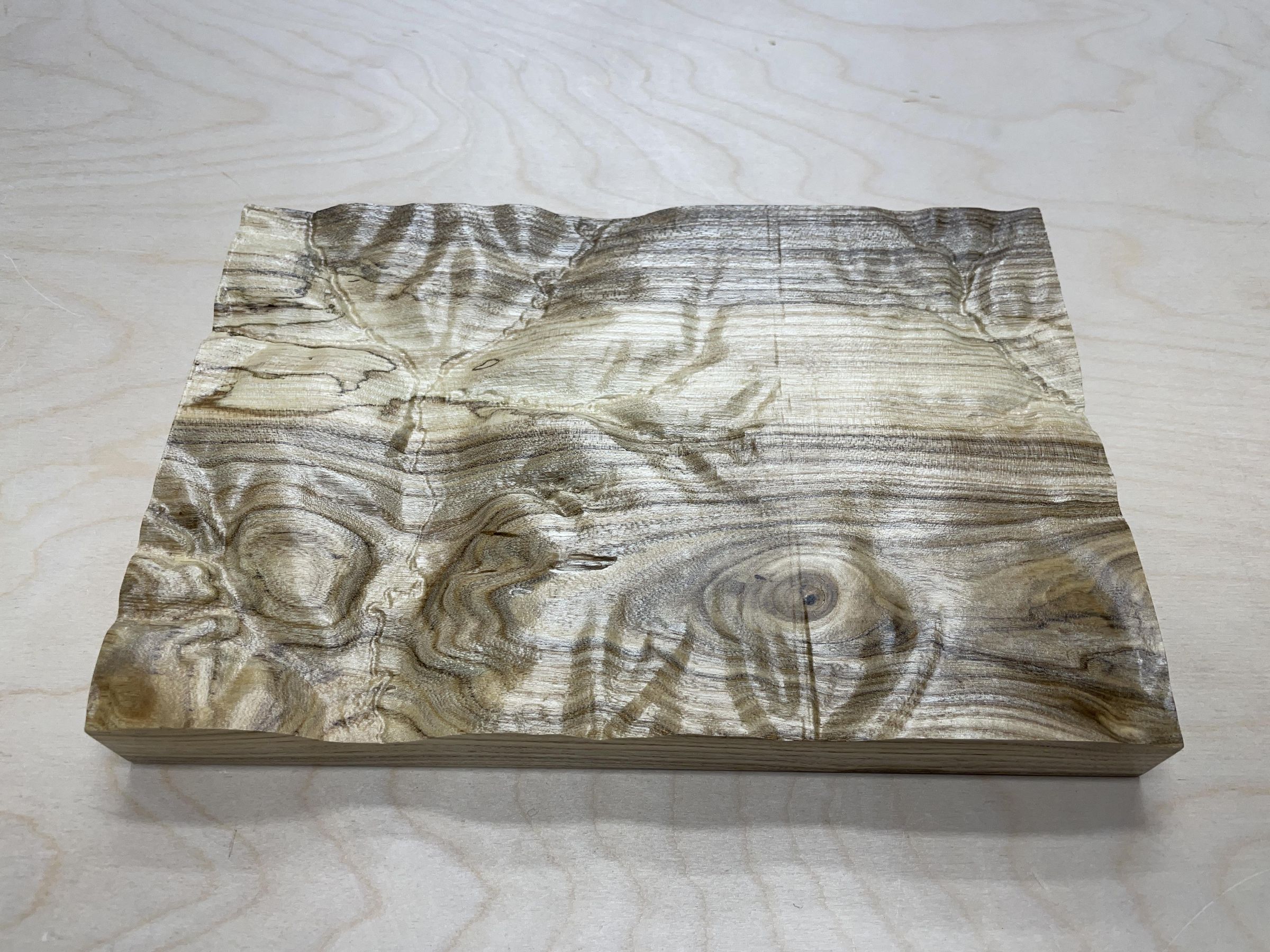 Topographic Surface Download and CNC Carving With Easel Pro Software