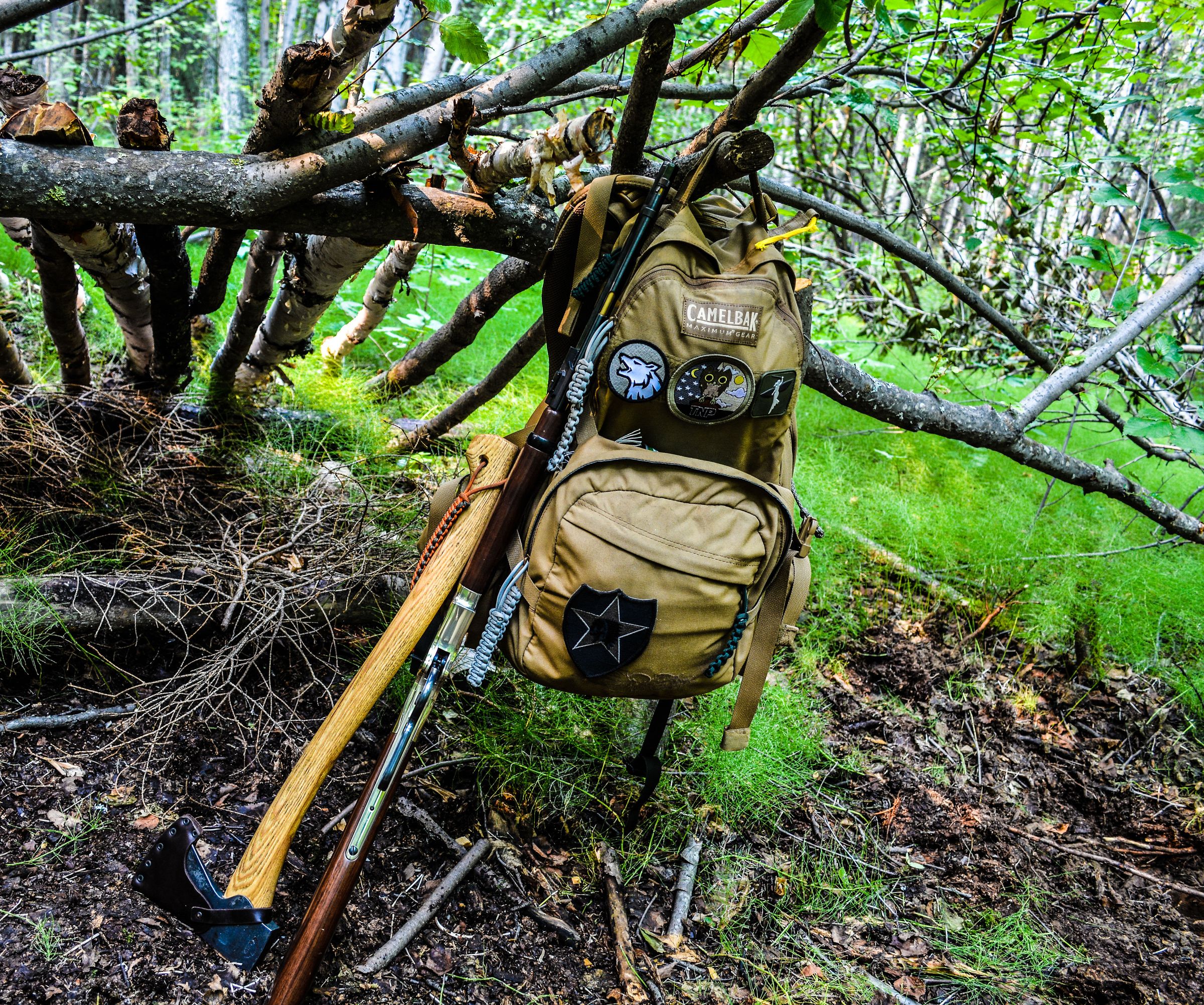 How to Live in the Woods, Long Term 