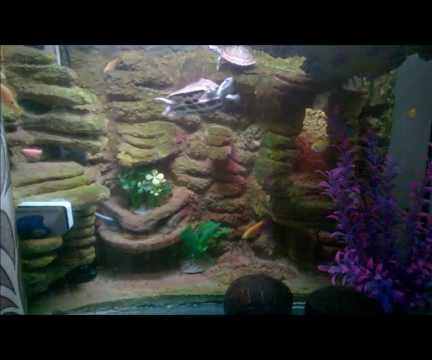 Aquarium 3D Background With Cement and Thermocol(Styrofoam)