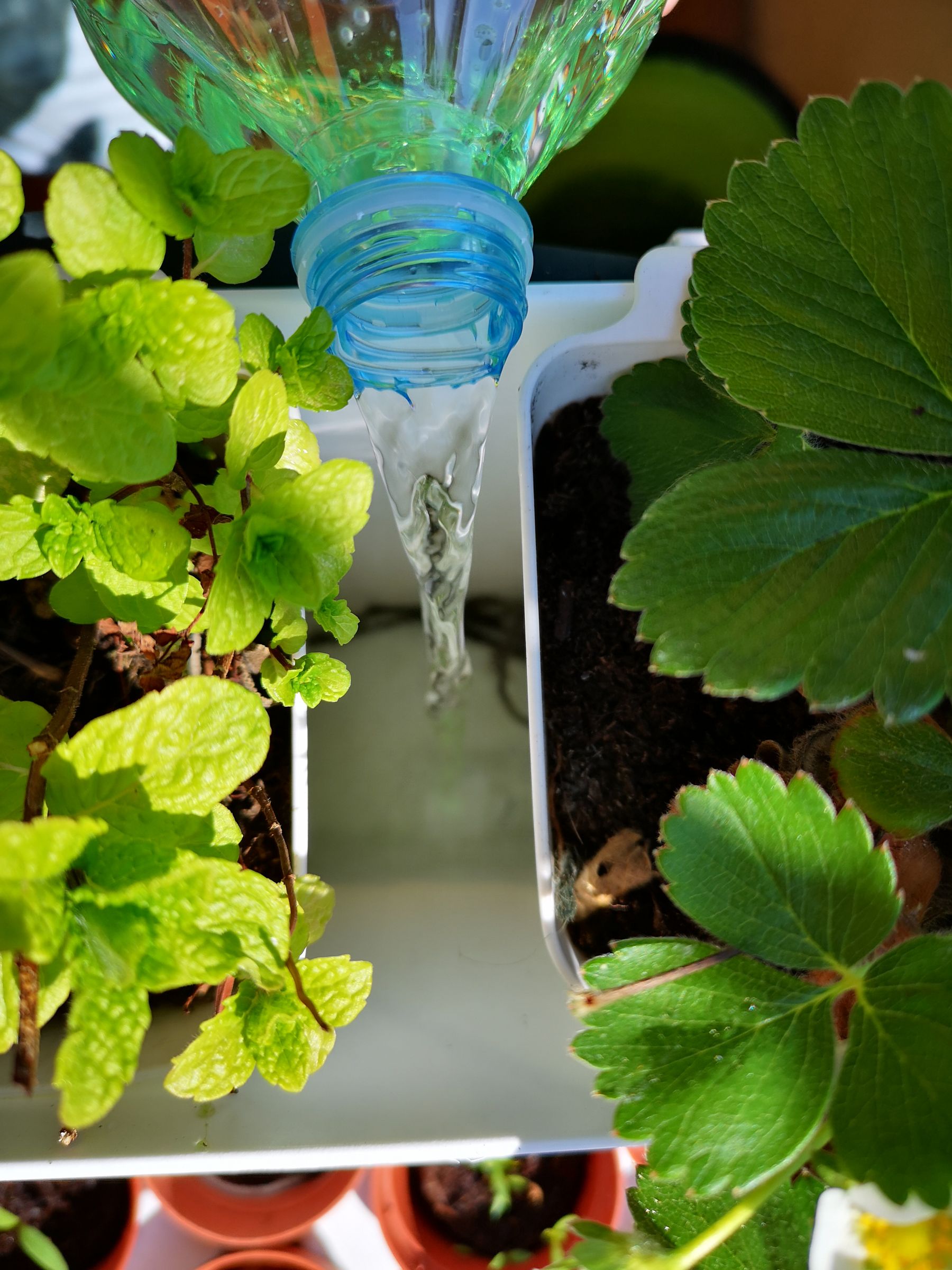 IKEA Self Watering System 9 Steps (with Pictures) Instructables