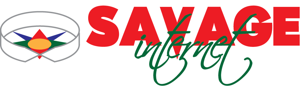 savageinternet