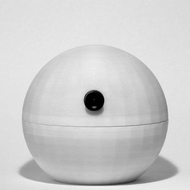 Autonomous Surveillance Camera