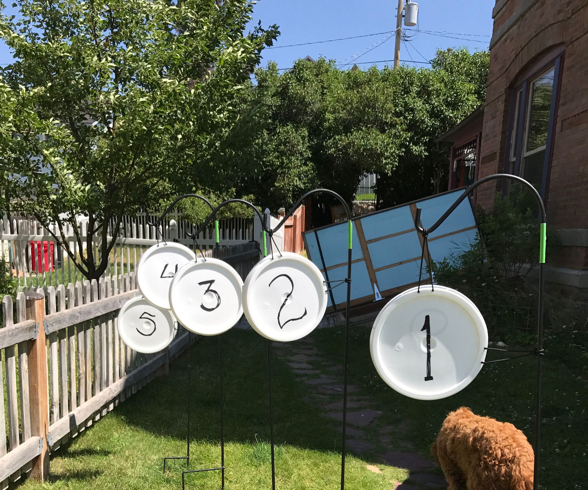 Frisbee Golf & Drone Gates