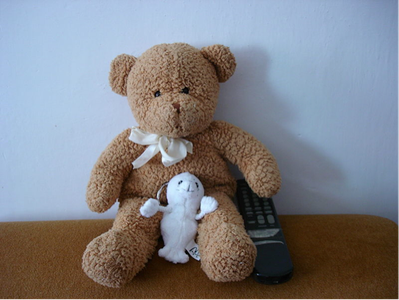 Bring Things From Home